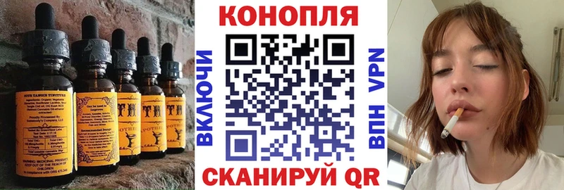shop какой сайт  Черногорск  Еда ТГК марихуана  кракен сайт 