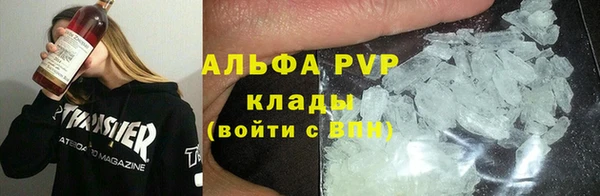 мяу мяу мука Михайловск